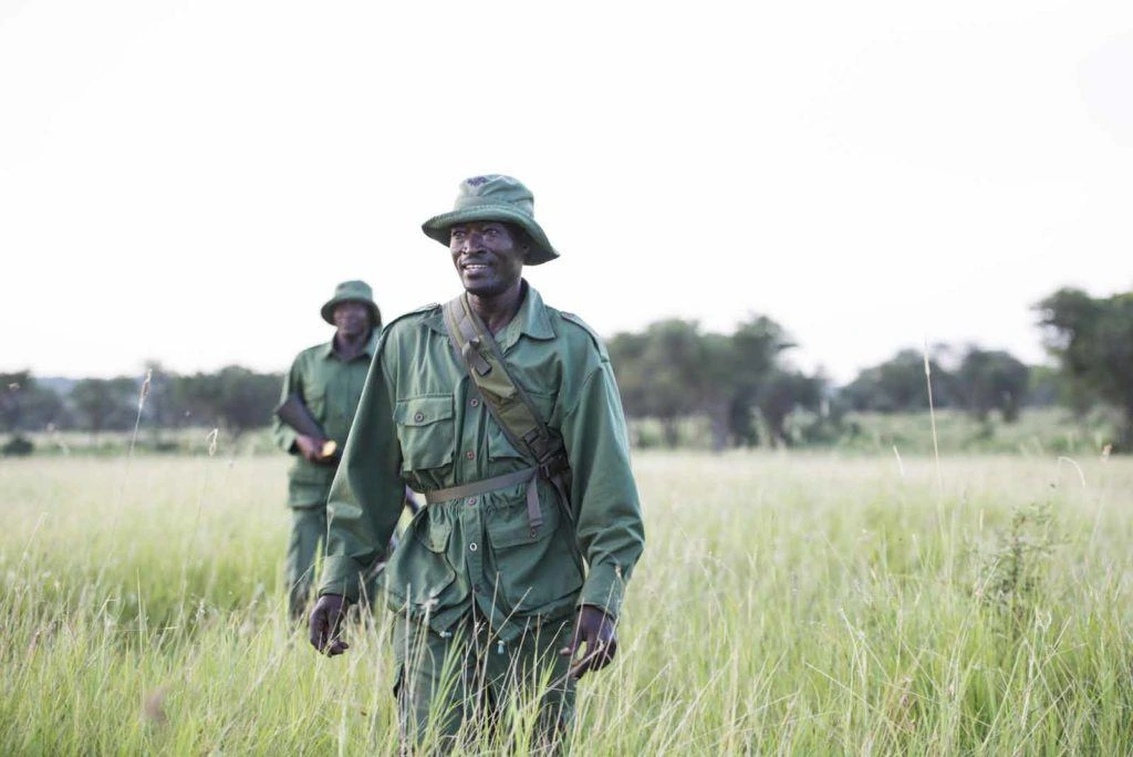 The Conservation in the Serengeti National Park