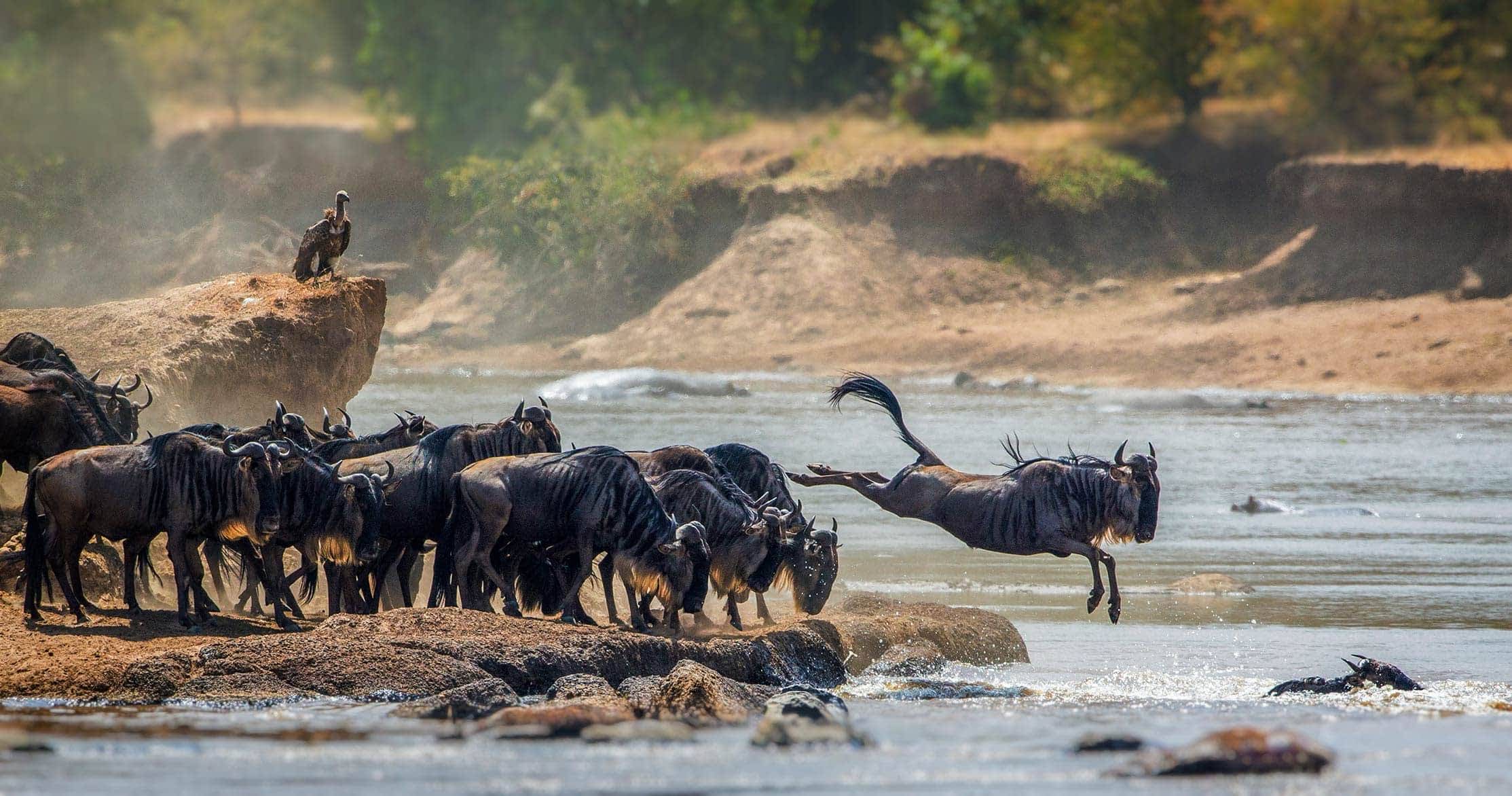 Tanzania and Kenya at a Glance