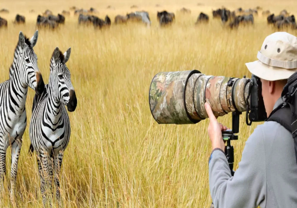 Essential Safari Gear