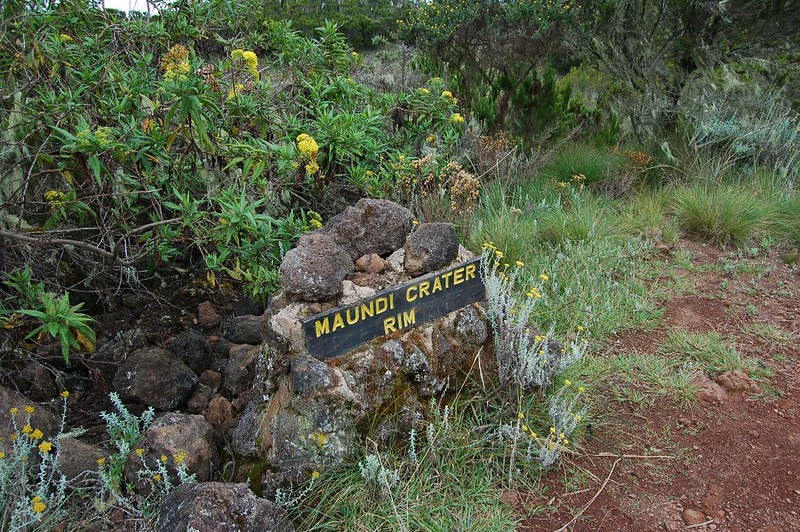 Maundi Crater Kilimanjaro