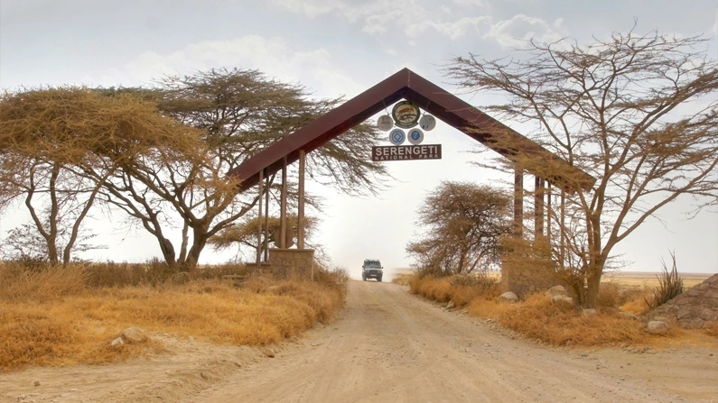 Serengeti Africa