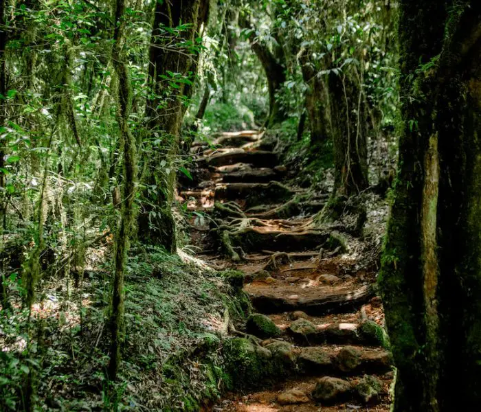 WHERE IS MANDARA HUT LOCATED?