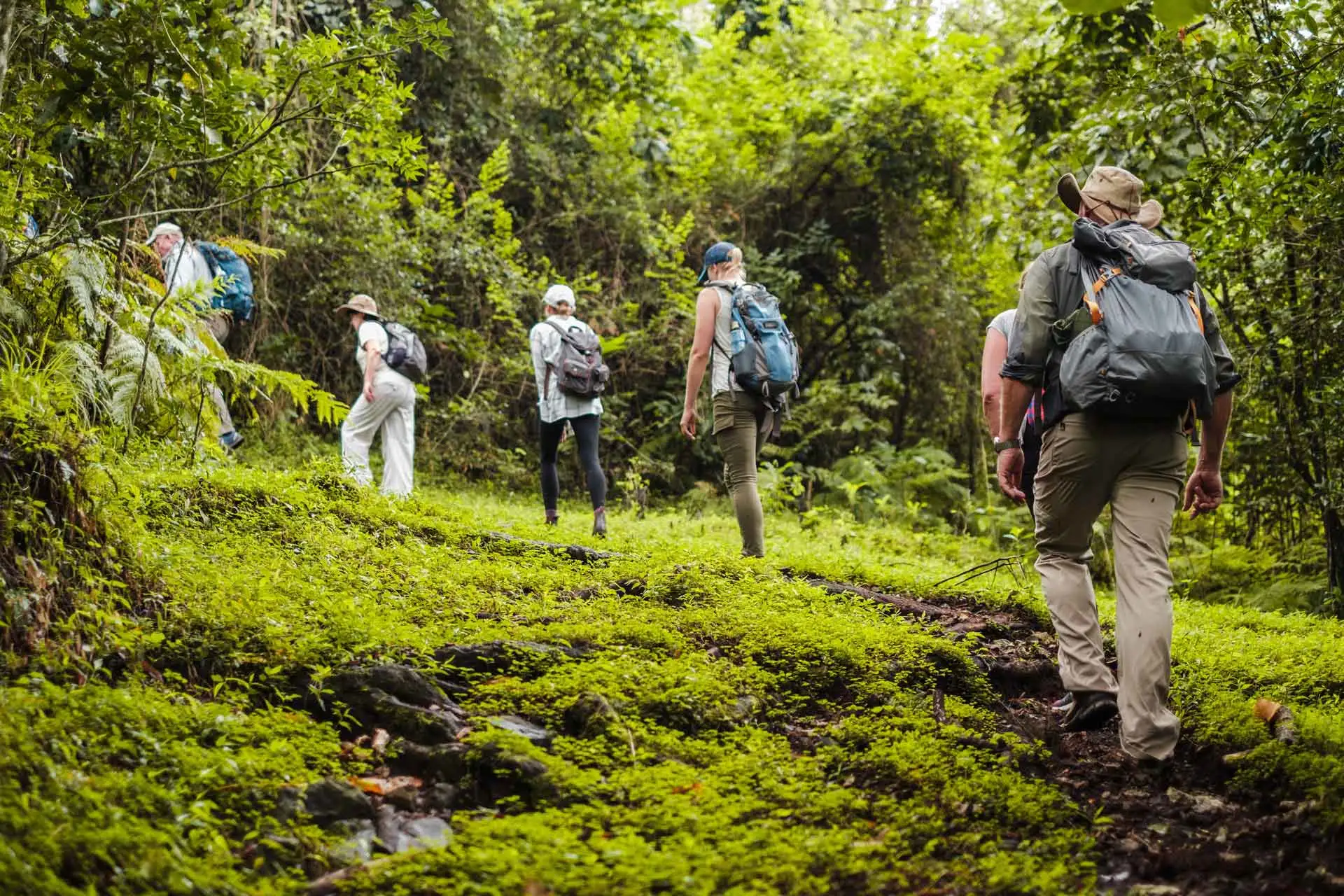 Landscapes & Scenery of Arusha National Park