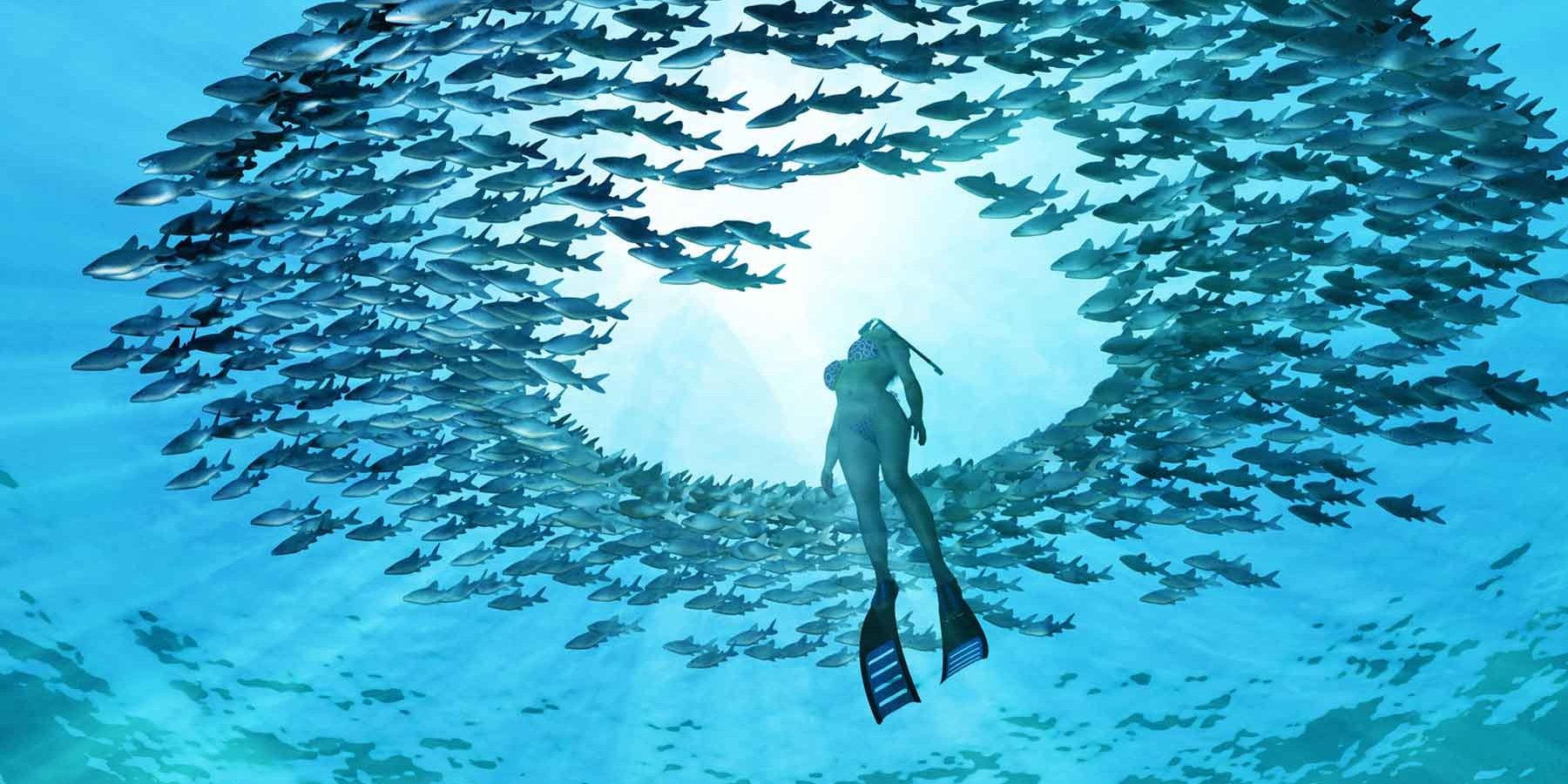 Unique marine species found in Zanzibar