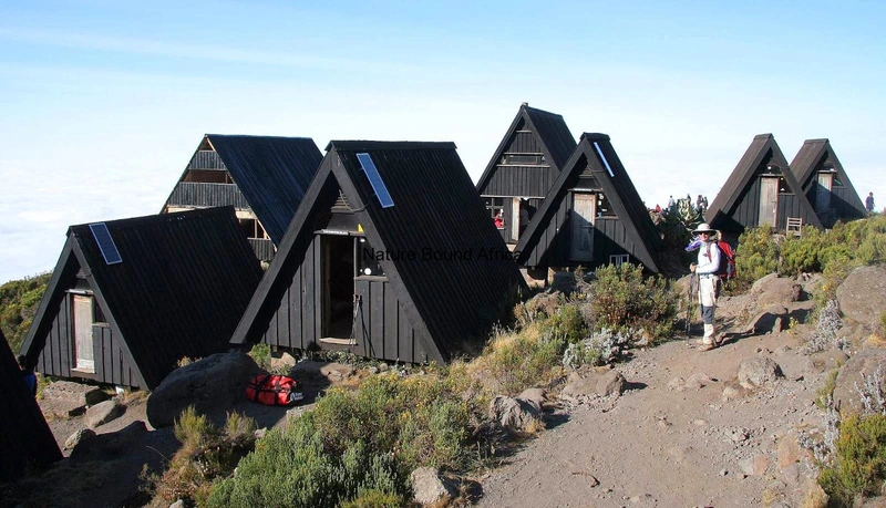 Mandara Hut vs Horombo Hut