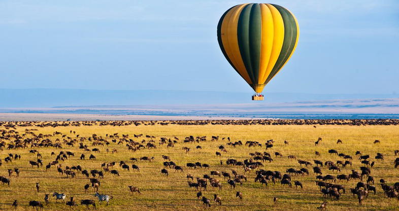 Safari Activities: What Can You Do Beyond Game Drives?