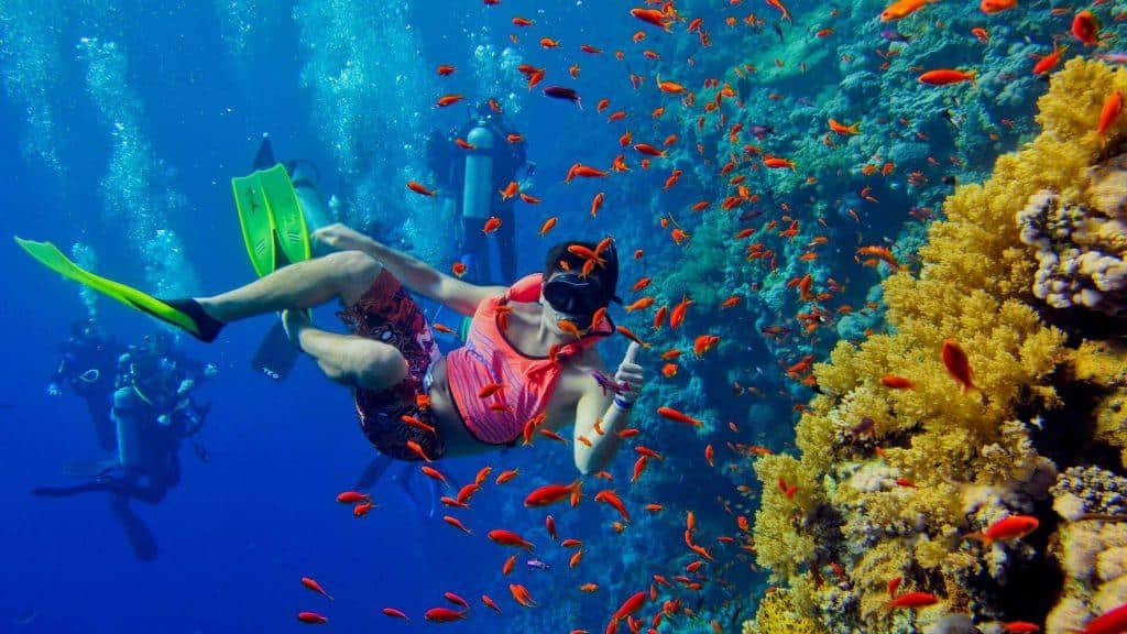 Popular Diving and Snorkeling Spots in Zanzibar