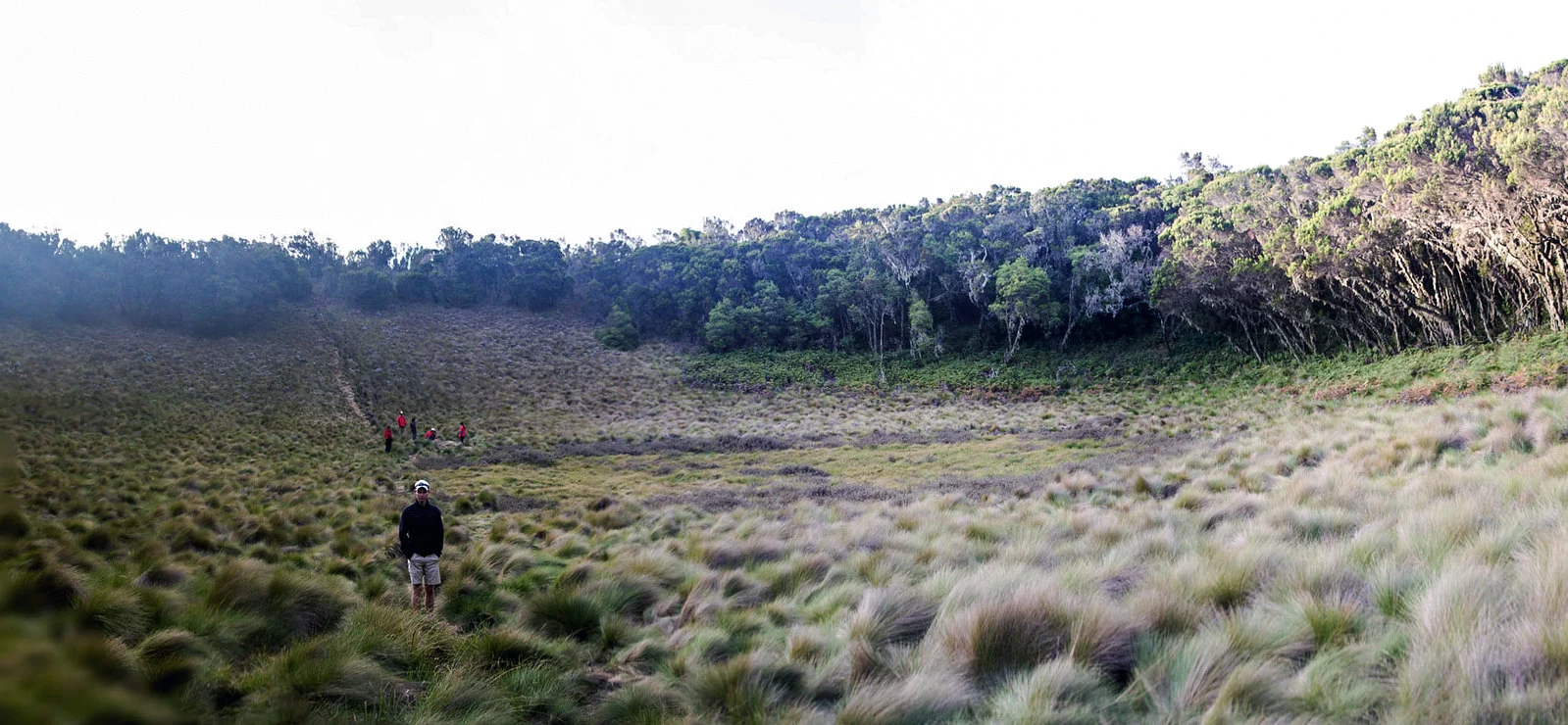 Why Maundi Crater Matters for Your Kilimanjaro Climb