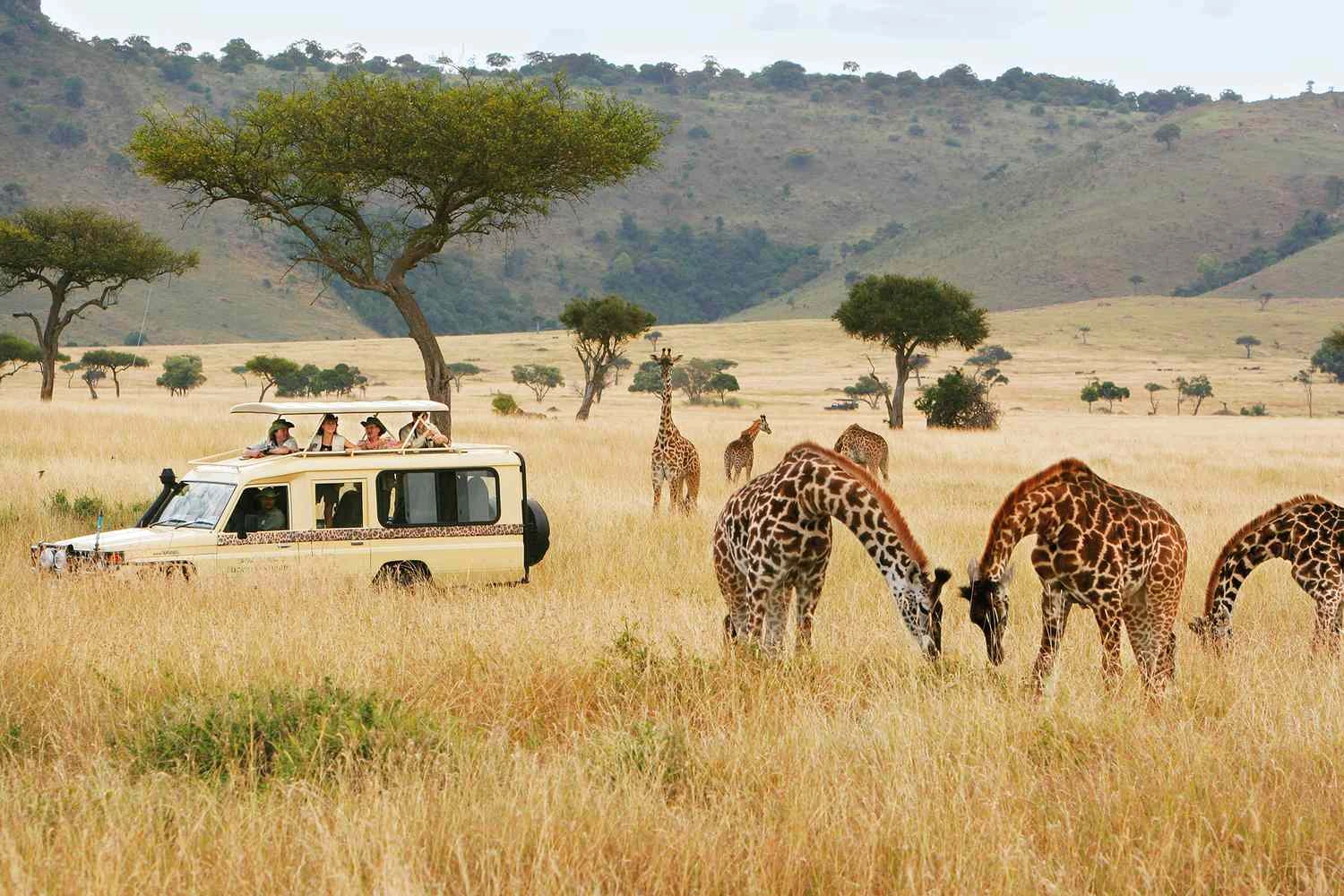 Perfect time to visit Kenya