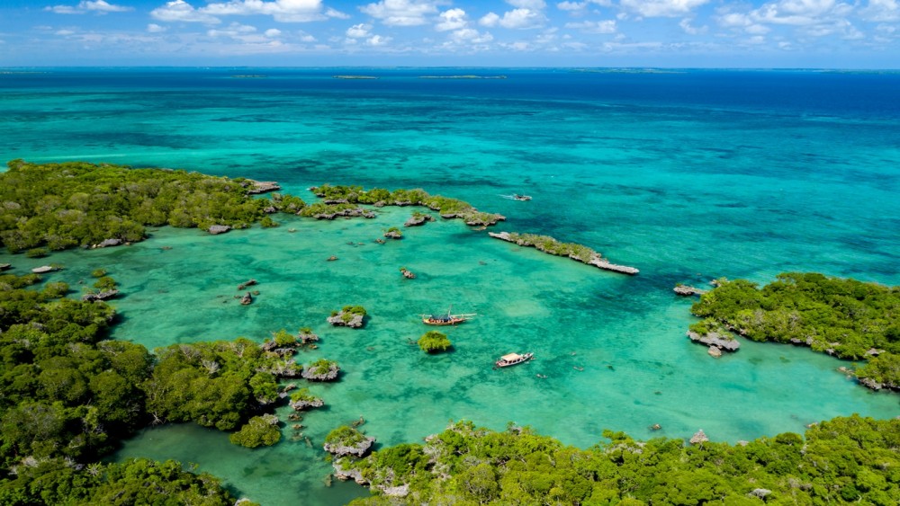Choosing the right Blue Safari package in Zanzibar