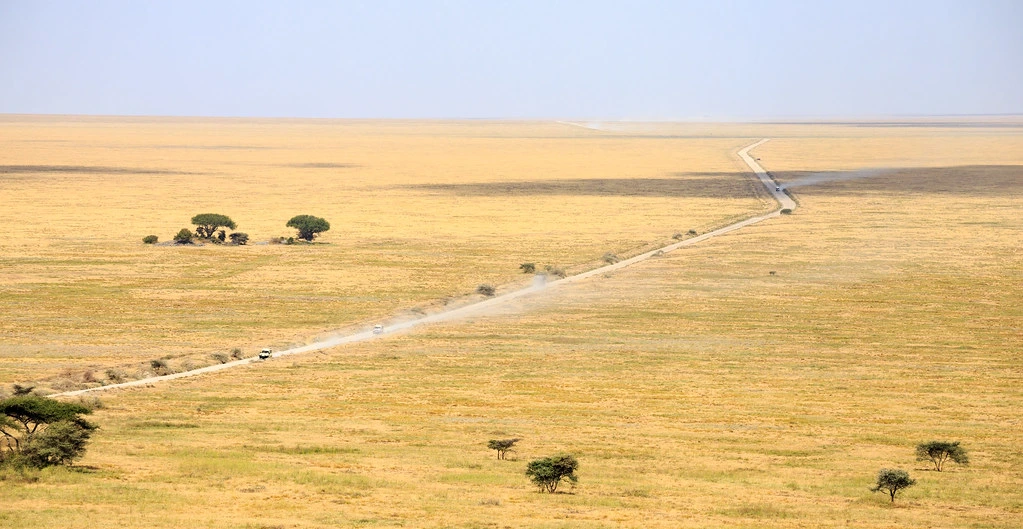 Best Time to Visit Serengeti Africa