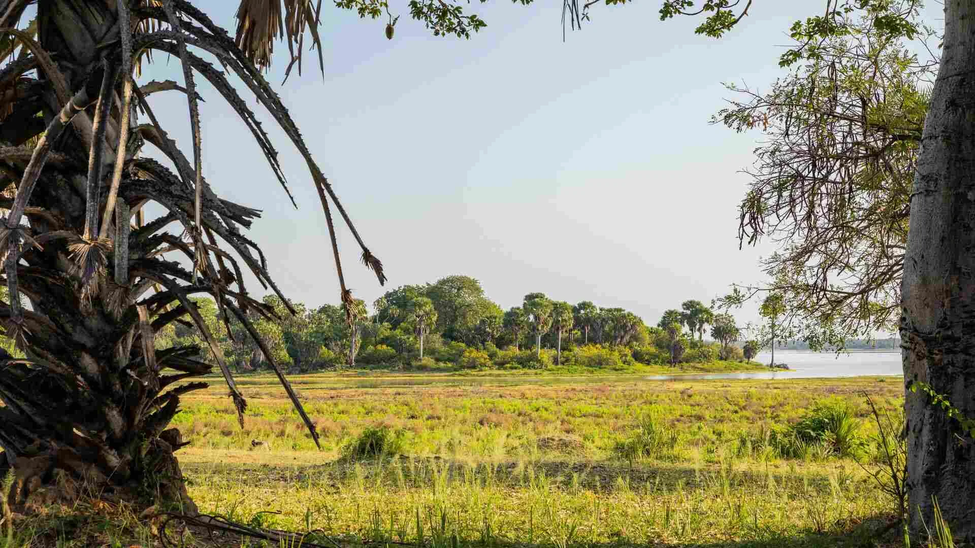 Where Are Serengeti and Nyerere Located?