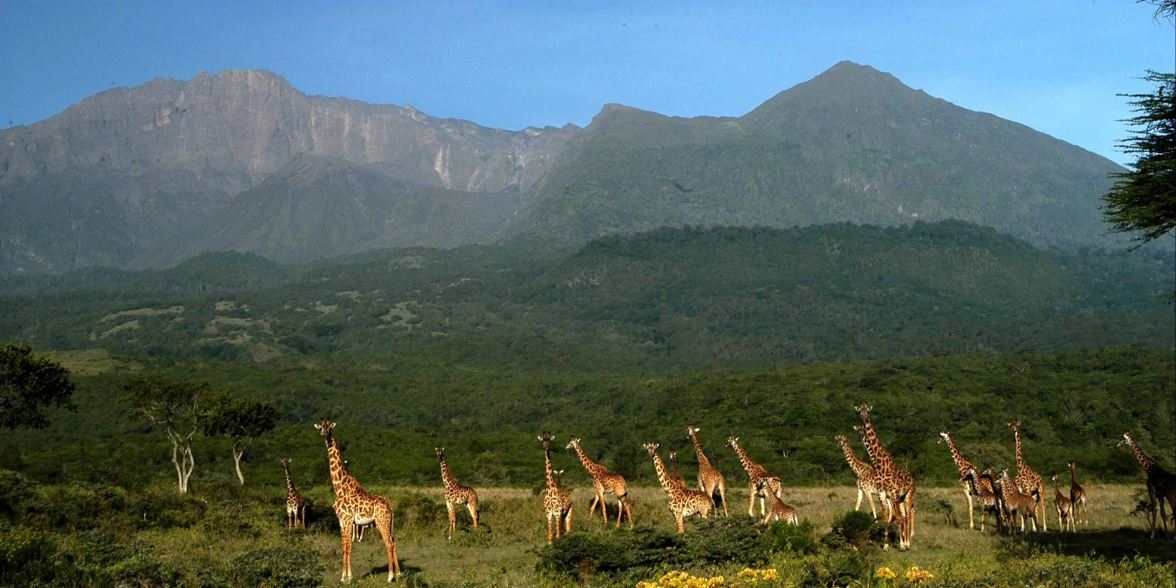 Location & Accessibility of Arusha National Park