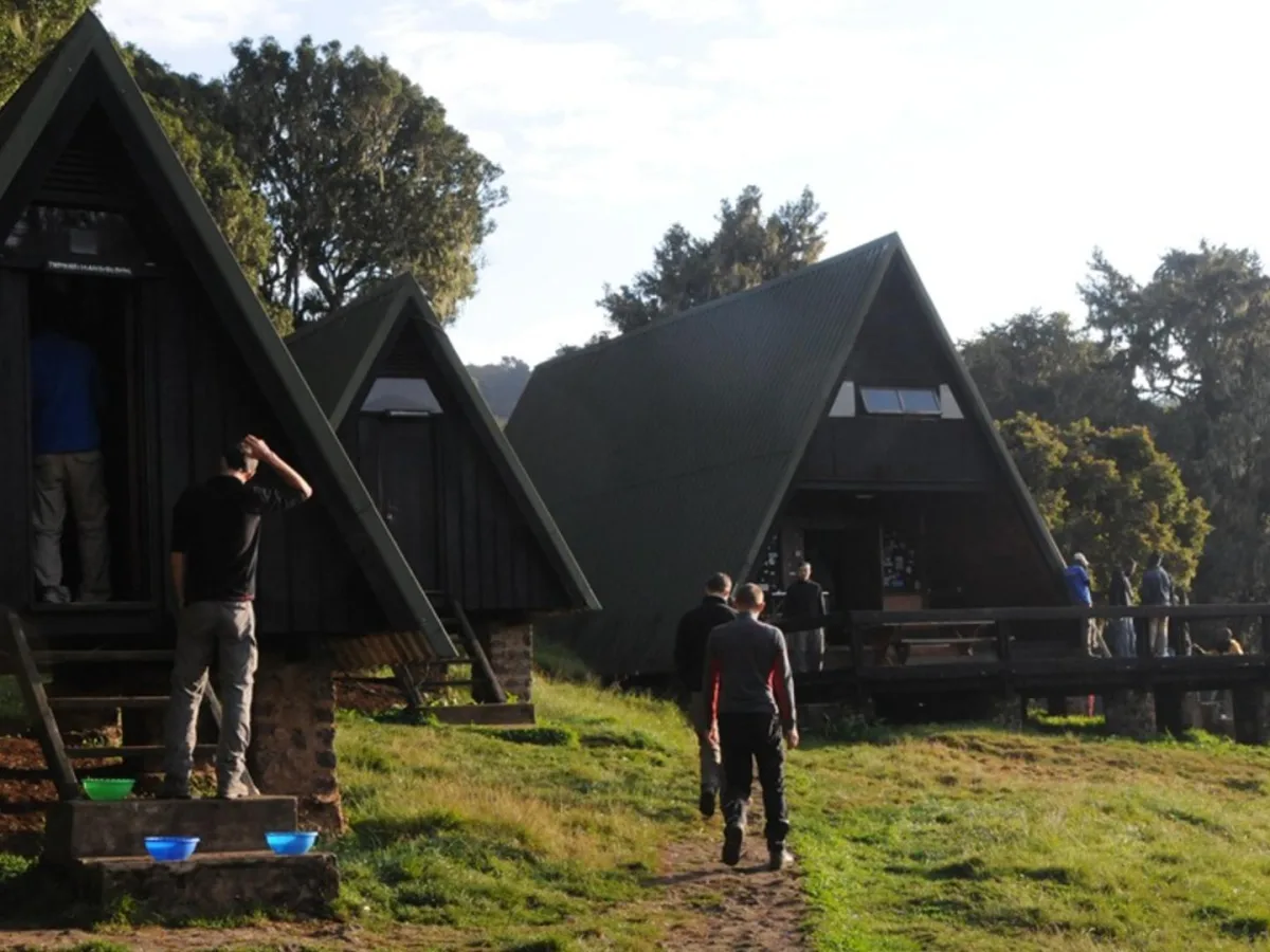 COMBINE YOUR KILIMANJARO TREK WITH A TANZANIA SAFARI