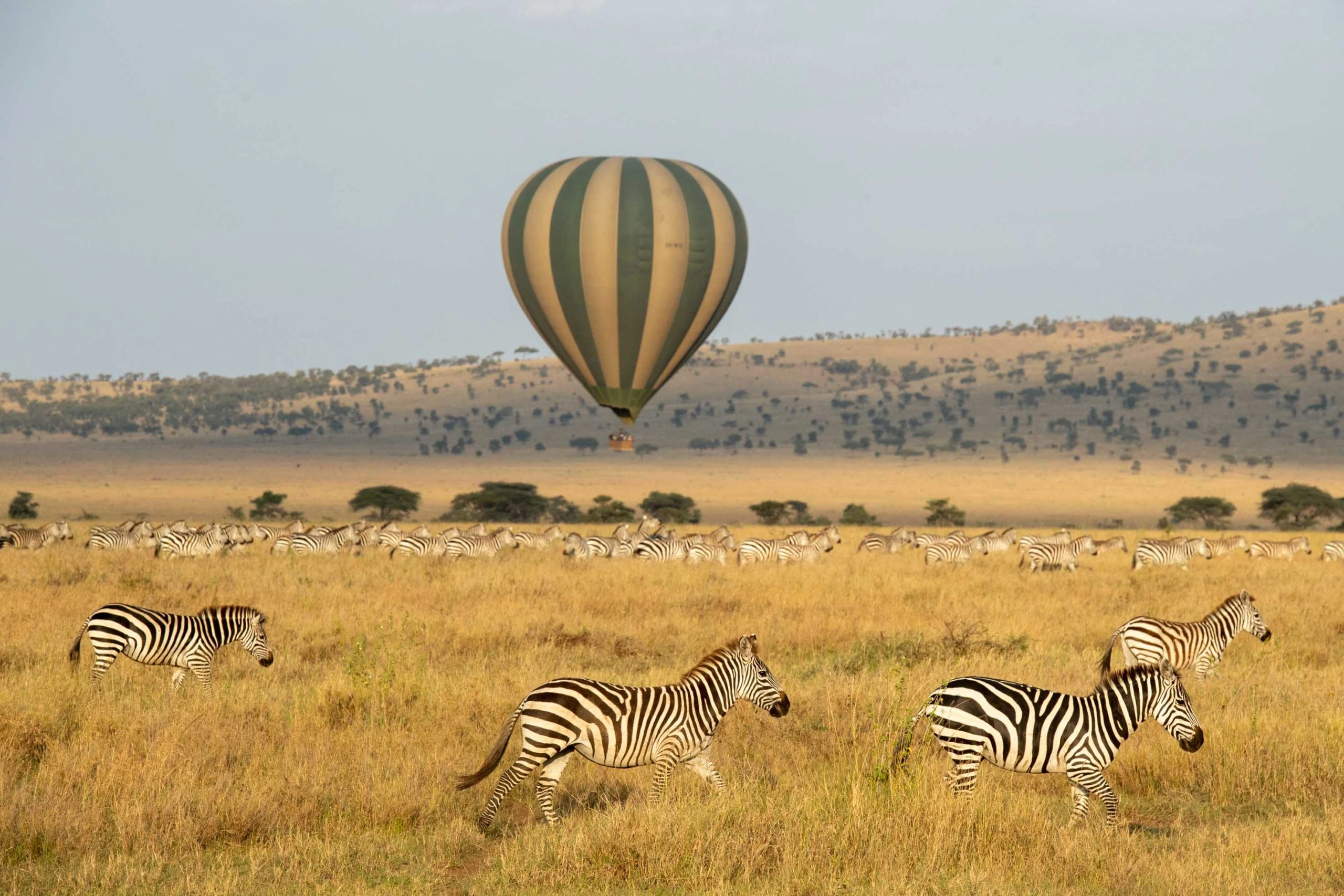 Best Time to Visit Maasai Mara