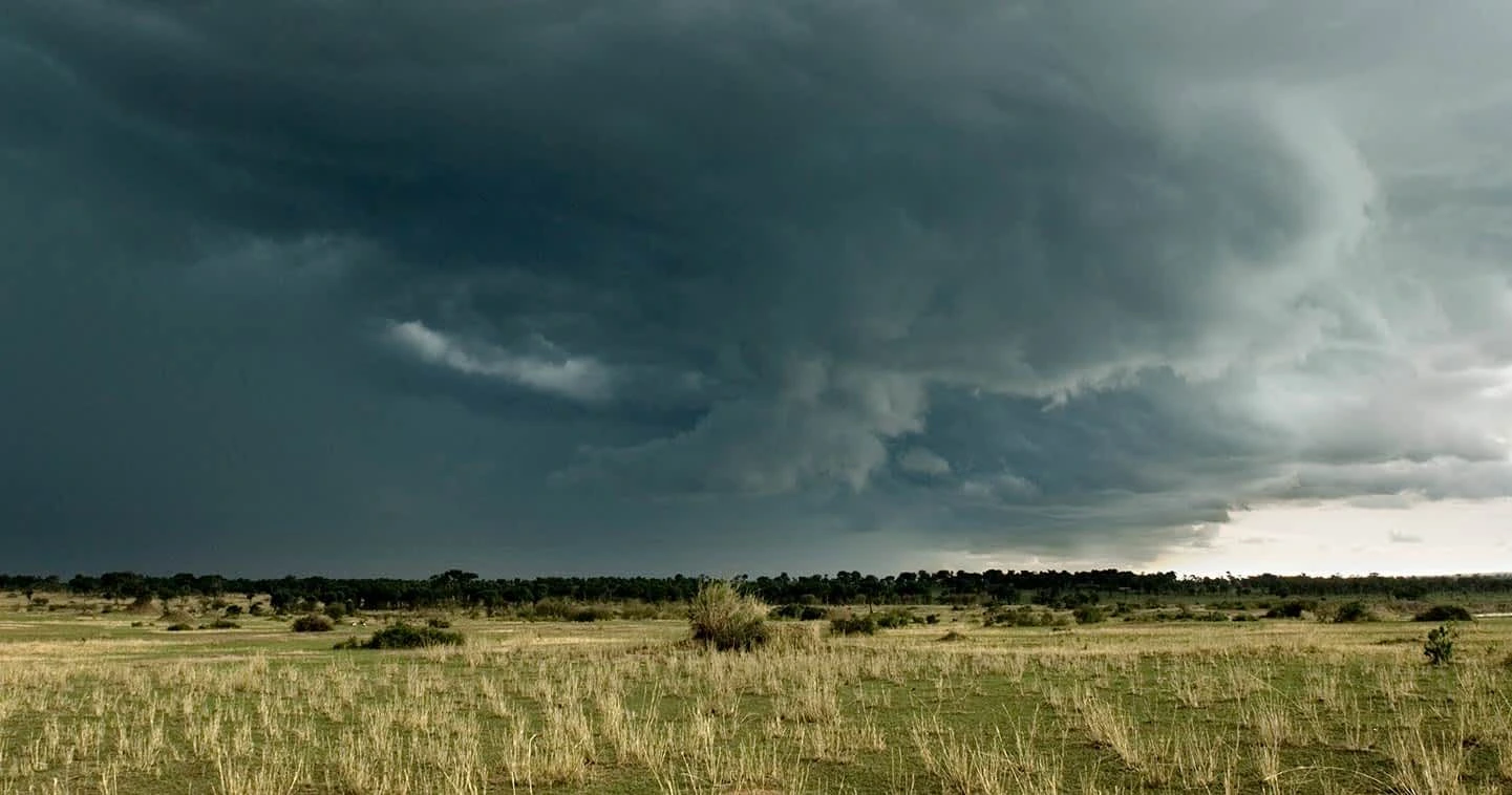 So, When Is the Best Time to Visit Tanzania for Safari?