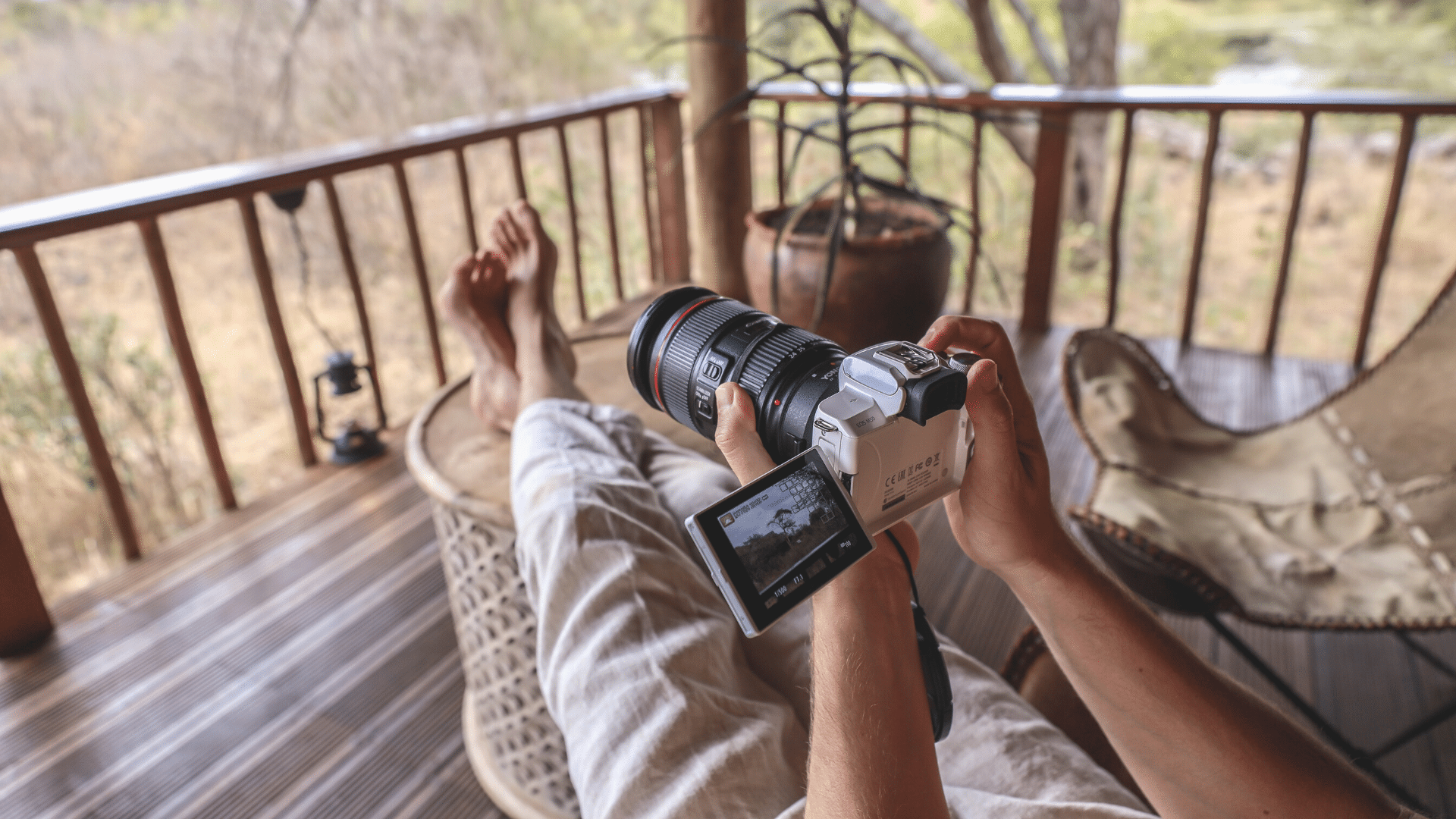  African Safari Photography Tips 