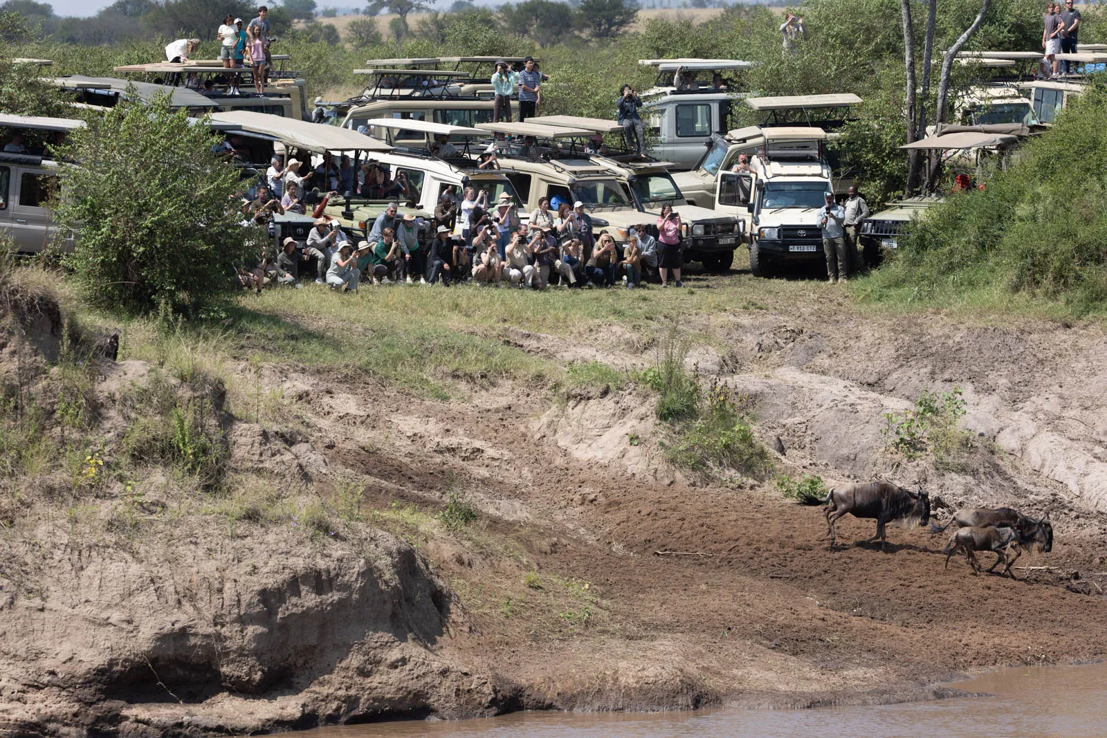 Safari Crowds and Exclusivity: Which Destination Feels More Remote?