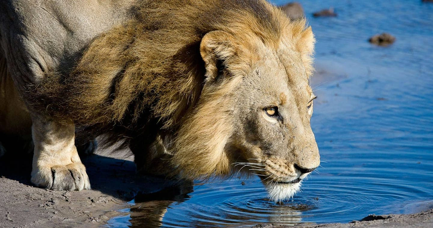 Okavango Delta (Botswana)