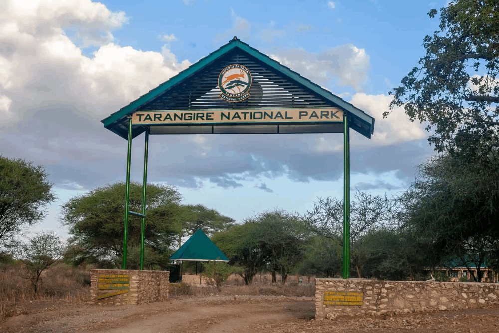 Tarangire National Park Fees