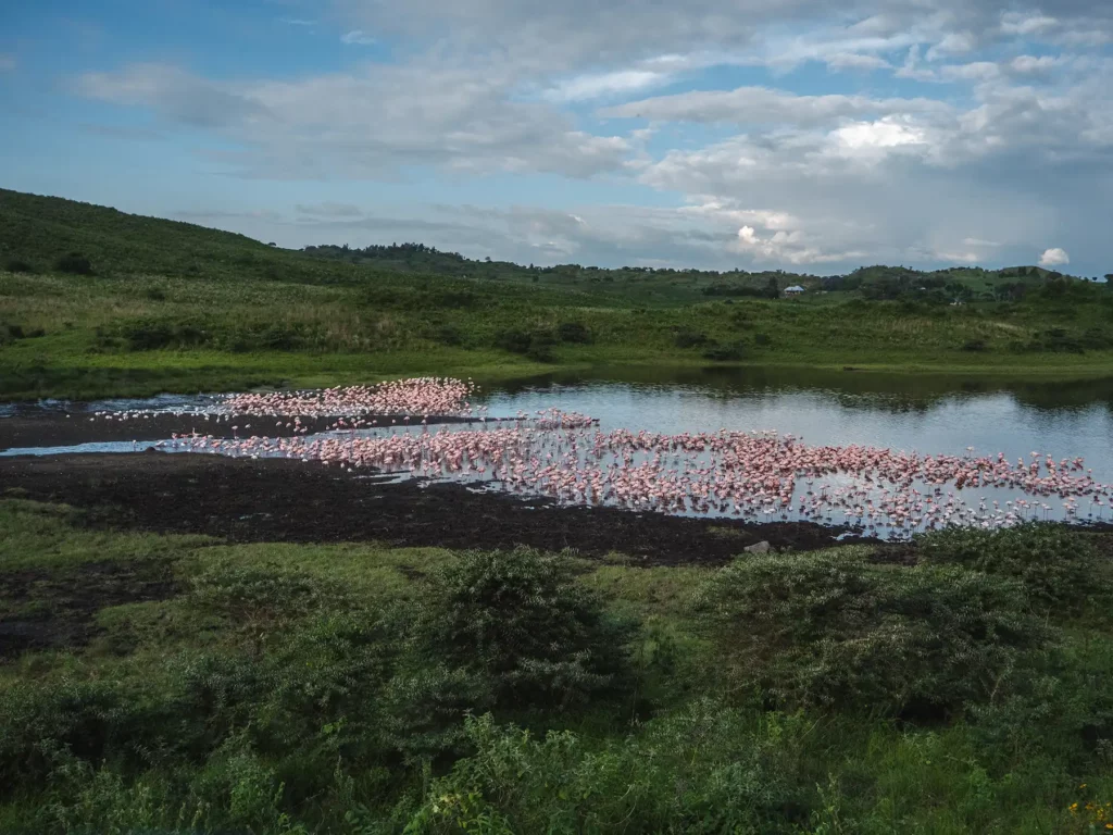 Safari Activities in Arusha National Park
