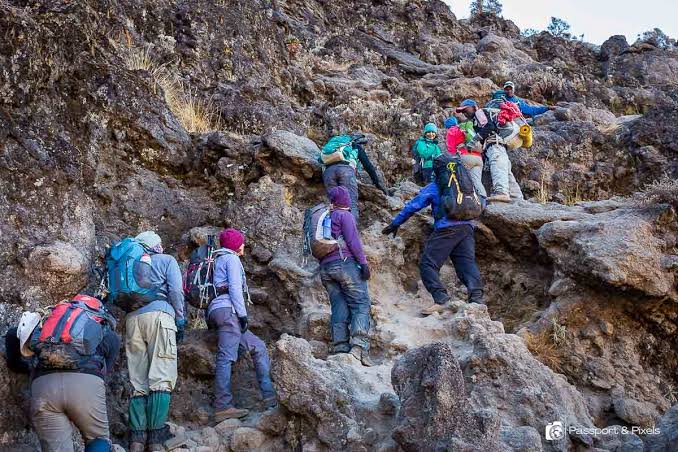 My Actual Recommendation: Machame Route (7 Days)