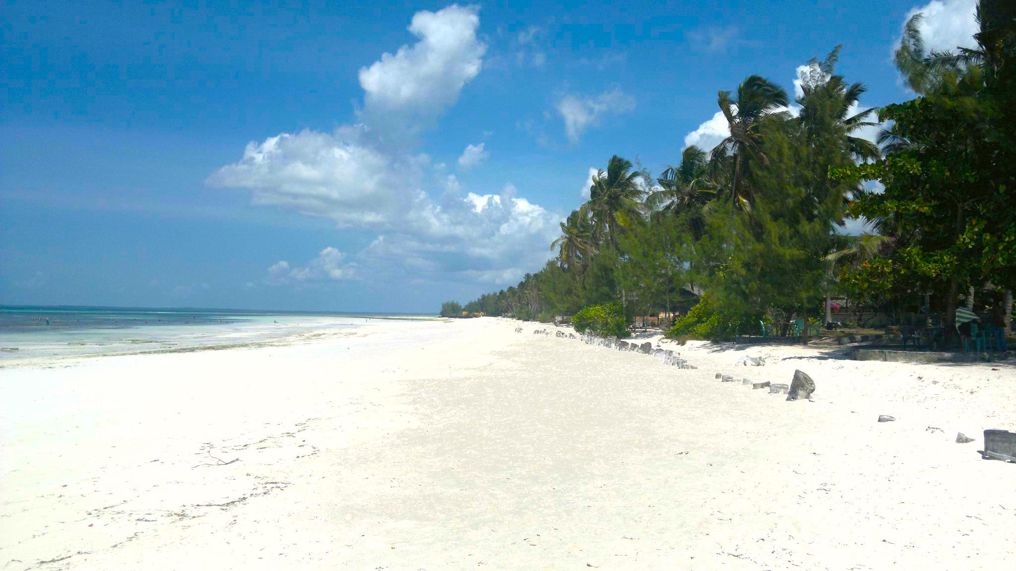 Uroa Beach – A Quiet and Authentic Zanzibar Coastal Experience