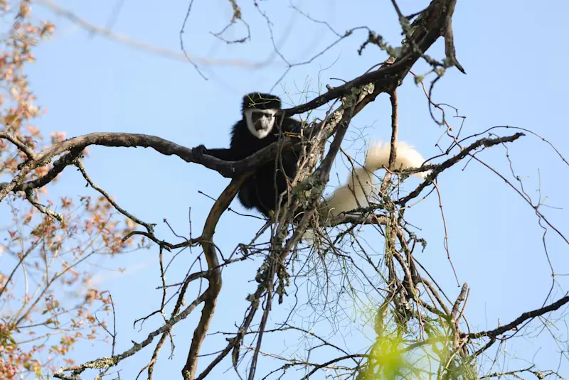 HIGHLIGHTS NEAR MANDARA HUT
