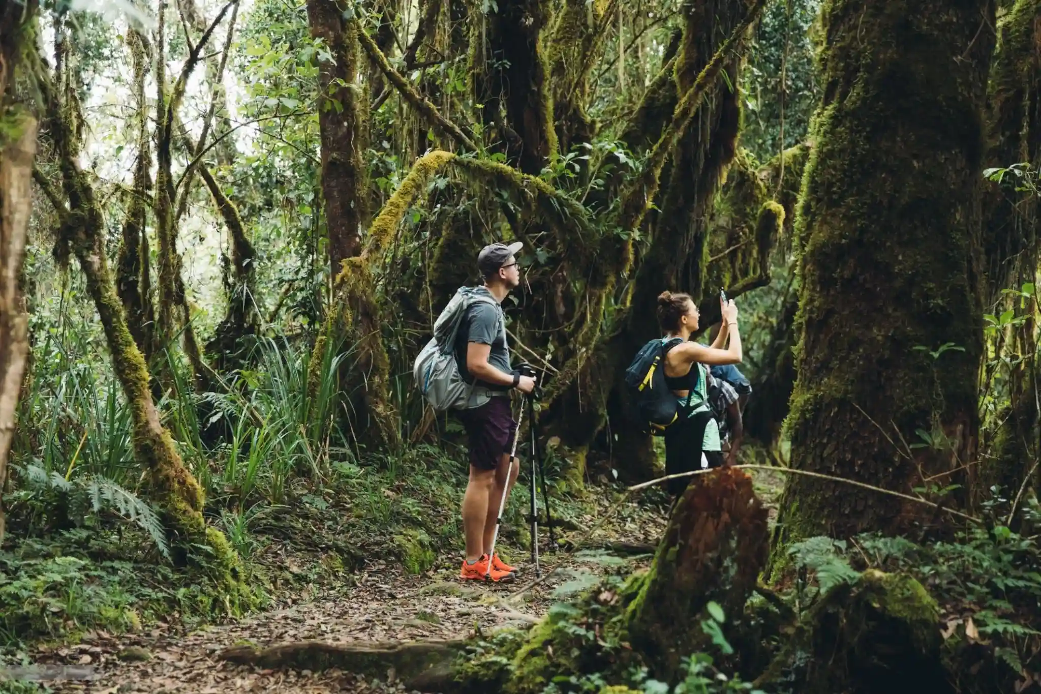 Hiking Experience to Maundi Crater