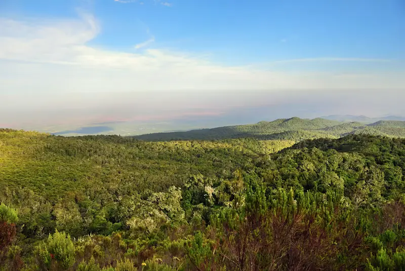 Combine Your Kilimanjaro Trek with a Tanzania Safari
