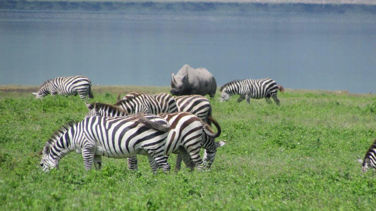 Weather in Tanzania & How It Affects the Best Time to Visit