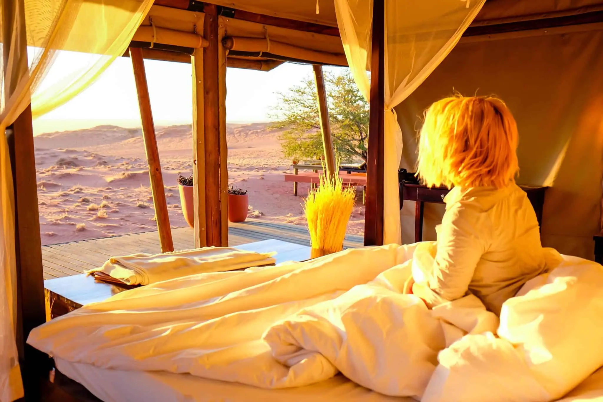 Tanzania Luxury Safaris Safari