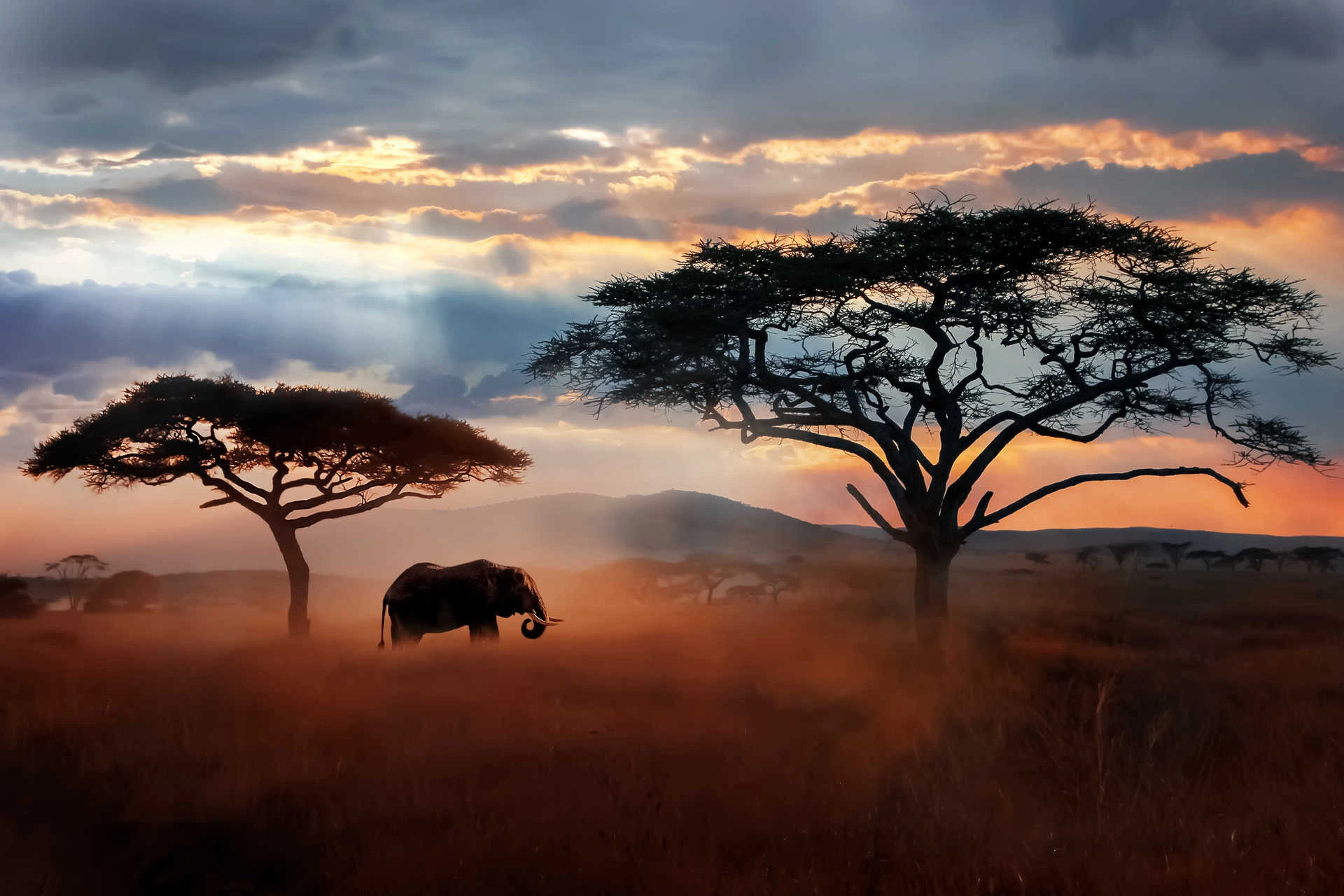 Tanzania vs Kenya Safari