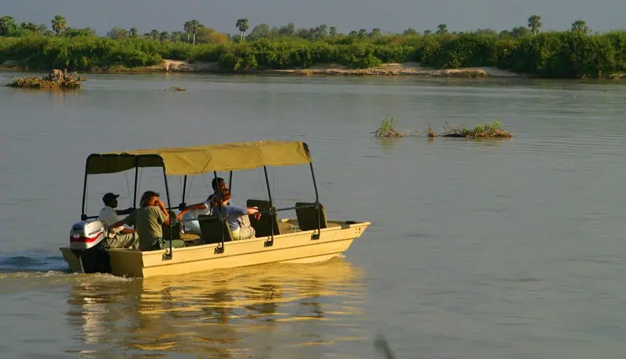 Safari Activities: What Can You Do?