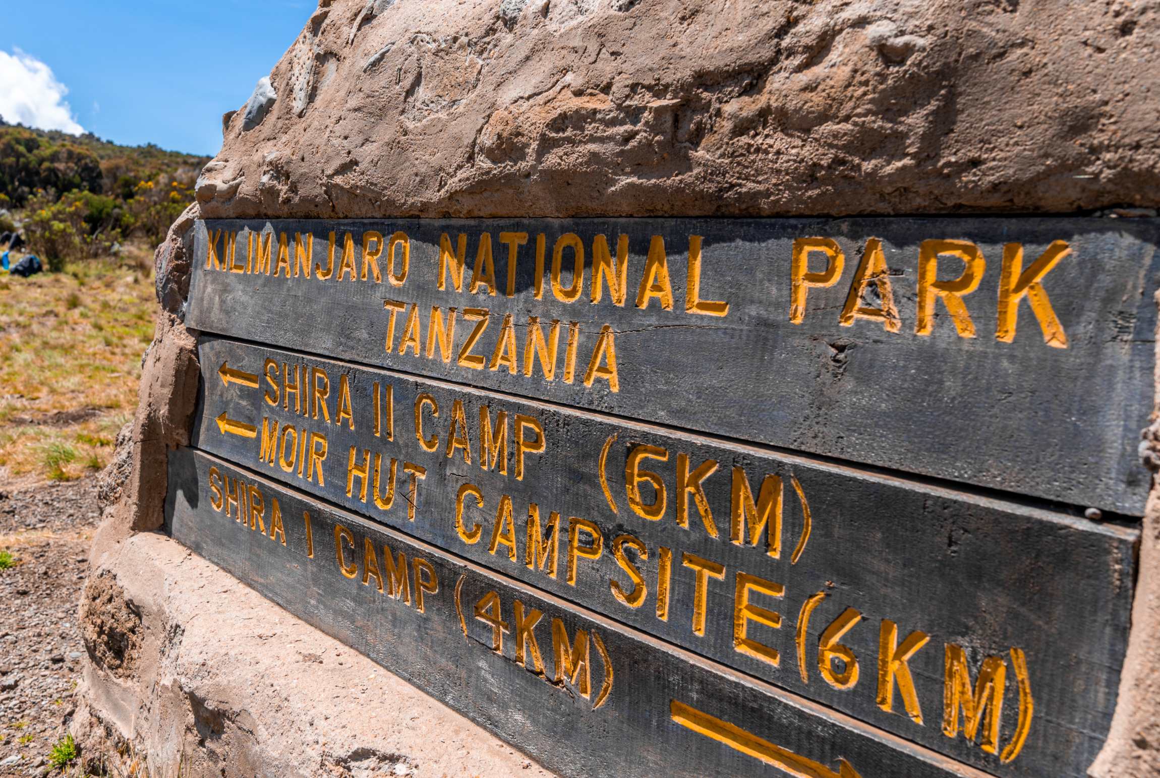 Mti Mkubwa Camp to Shira 1 Camp – Into the Moorland Zone