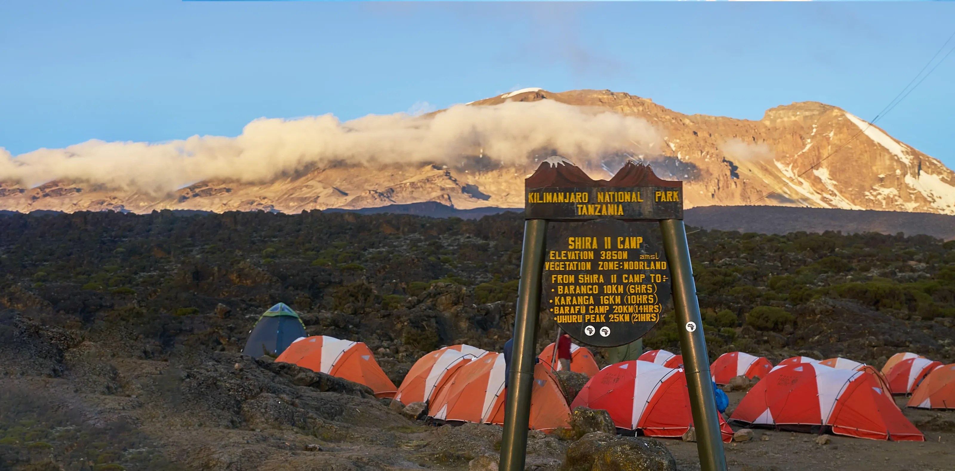 Mti Mkubwa Camp to Shira 1 Camp – Into the Moorland Zone