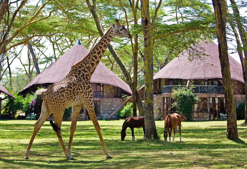 Lake Nakuru National Park – Lake Naivasha