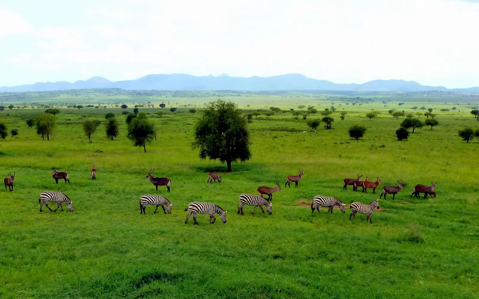 CONTINUE TO KIDEPO NATIONAL PARK
