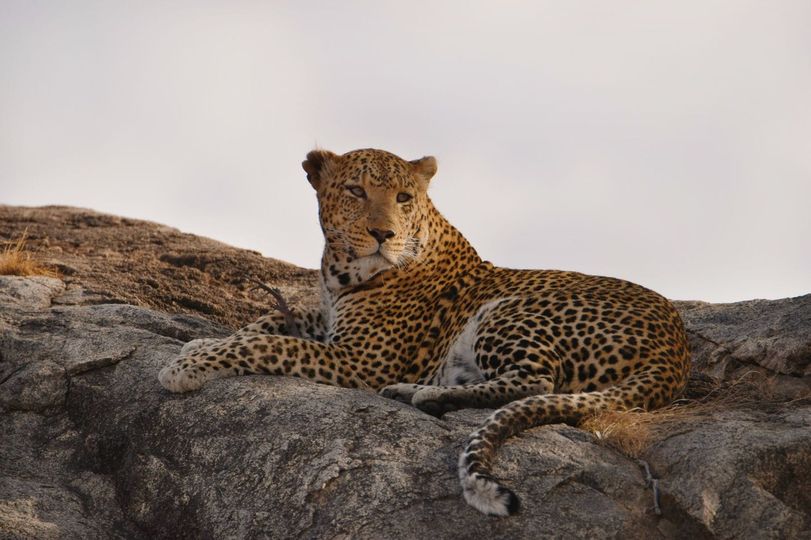 4 days Safari in Tarangire and Ngorongoro