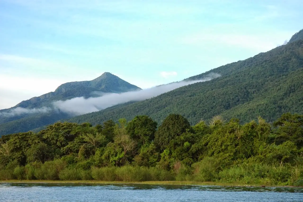 Gombe Stream National Park – Chimpanzee Trekking Experience