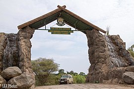 Arusha to Lake Manyara national Park