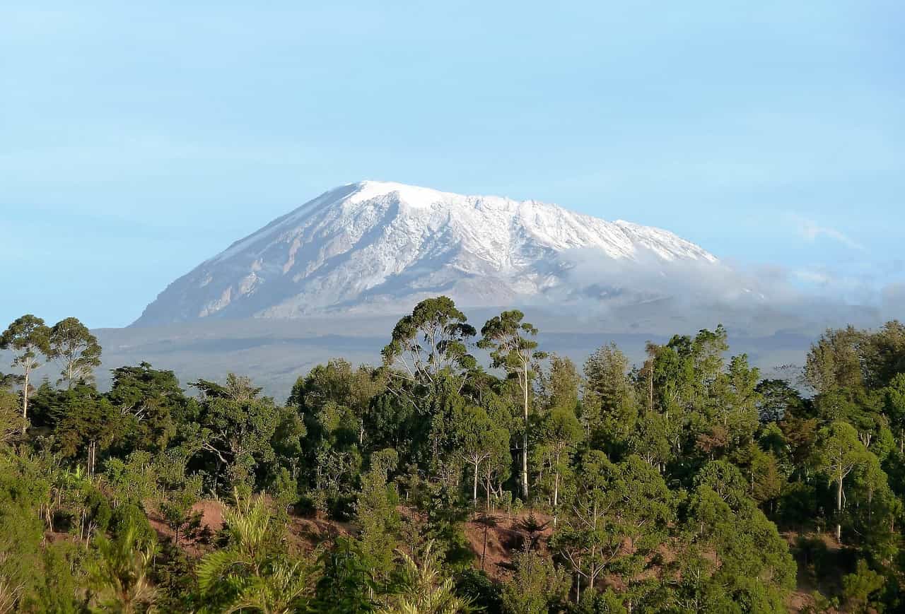Lemosho Gate to Mti Mkubwa Camp – Enter the Rainforest