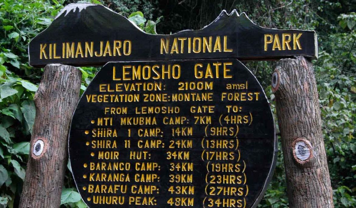Lemosho Gate to Mti Mkubwa Camp – Enter the Rainforest
