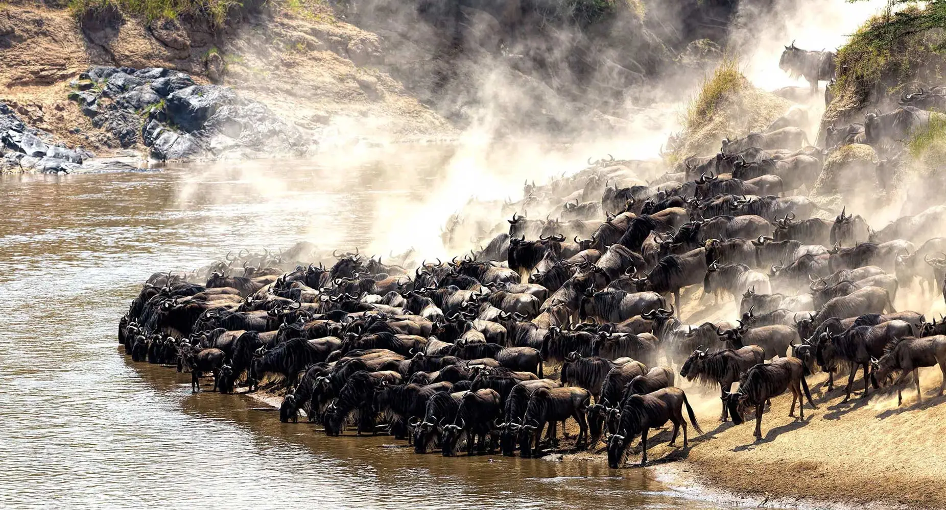 East Africa Serengeti: 5 Days Luxury Safari
