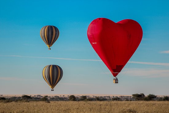 Hot air balloon safari and game drive in the Serengeti National Park