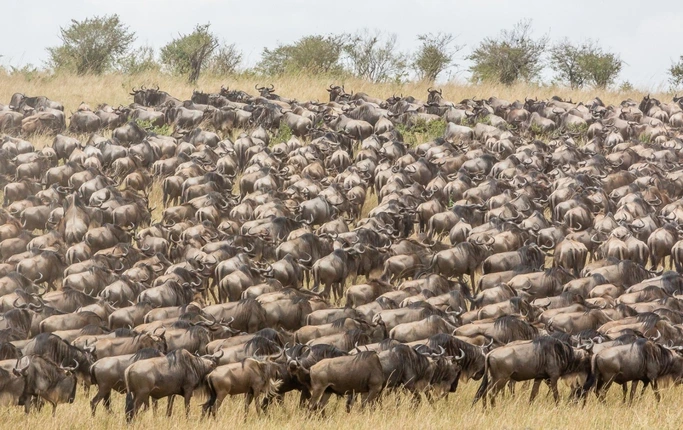 Serengeti National Park