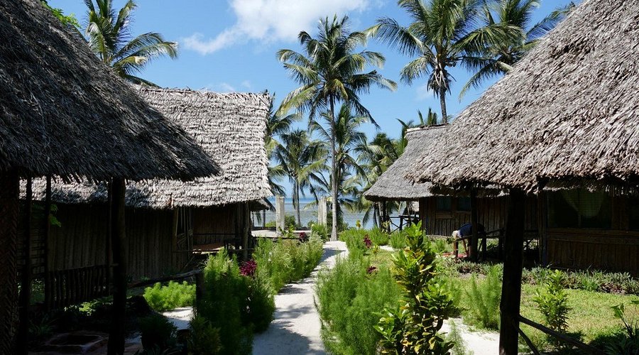 Accommodation in Mafia Island - Mafia Island