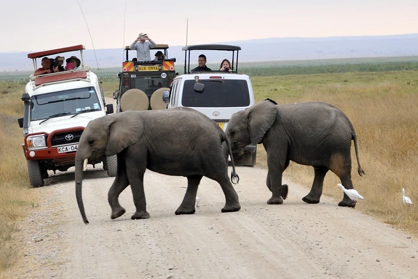 When & Why to Visit - Amboseli National Park