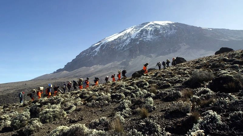 Mount Kilimanjaro