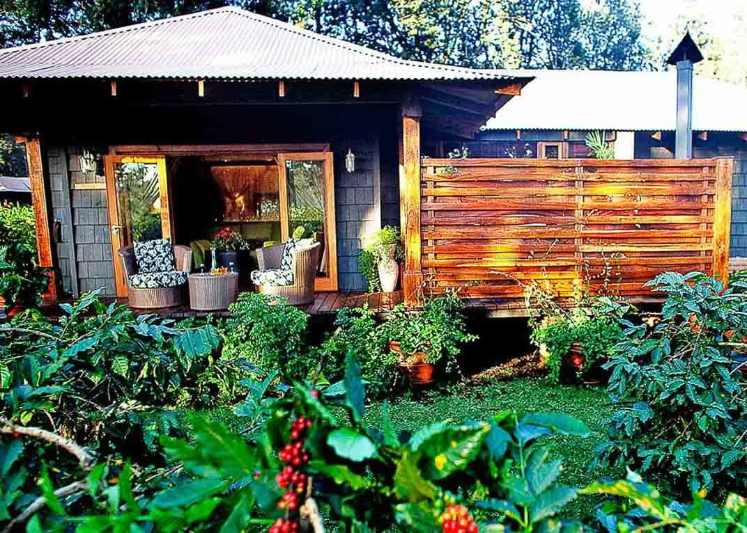 Things to Do in Arusha - Arusha